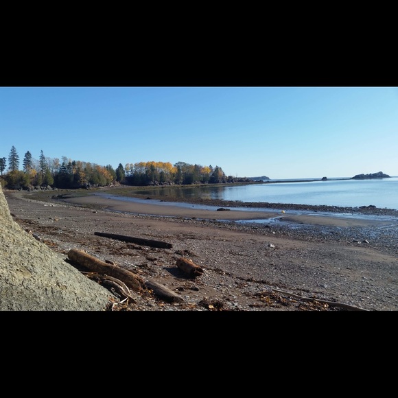 Meet your Posher, Deena - Picture 1 of 1